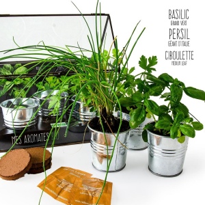 CHASSIS ZINC 3 POTS AROMATES BIO
