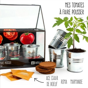 CHASSIS ZINC 3 POTS TOMATES BIO