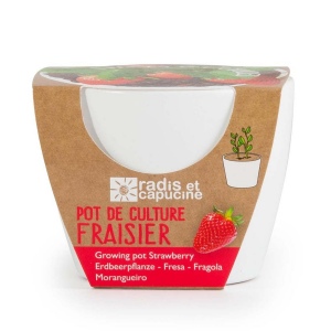 KIT DE PLANTATION FRAISIER CÉRAMIQUE BLANC 80MM