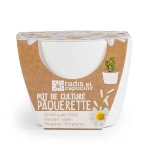 KIT DE PLANTATION PAQUERETTE BLANCHE CÉRAMIQUE BLANC 80MM