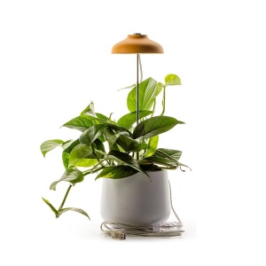 LAMPE HORTICOLE MOUTARDE NATURALYS