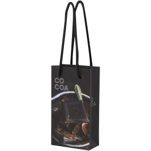Sac en papier 170 g/m2 intégra fait à la main avec poignées en plastique, petit modèle