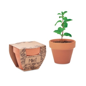 MINT POT - Pot avec graines de menthe
