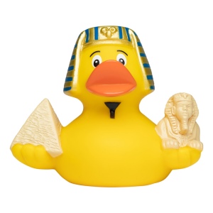 Canard voyage