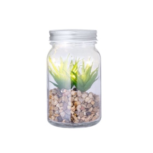 Plante Décorative - Kyala