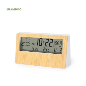Station Météo - Roamer