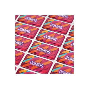 Doming Rectangle 80x25 mm