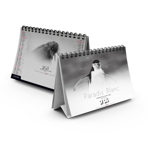 Chevalet standard 7 feuillets paradis blanc 2025 marquage quadri