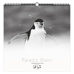 Illustre paradis blanc 2025 - 7 feuillets - xxl 480x580mm - reliure baguette - marquage quadri - page de garde repiquee