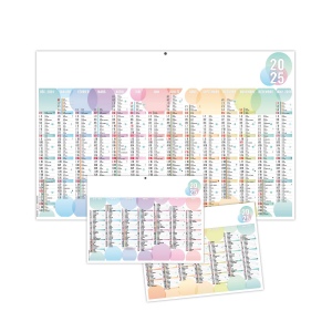 Bulles 2025 - maxi cc rigide - 650x405mm - dos france routiere - pelliculage effacable - marquage quadri - 2 oeillets cordon