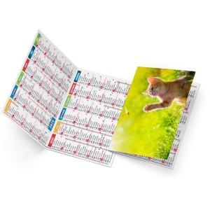 Felix 2025 marquage quadri vernis brillant recto