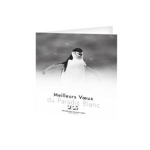 Carte de voeux paradis blanc 2025 avec enveloppe - marquage quadri