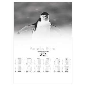 Poster paradis blanc 2025 - marquage quadri