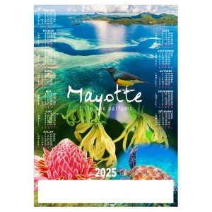 Poster mayotte 2025 - marquage quadri