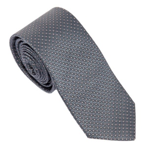 Cravate Soie Caprio Gris