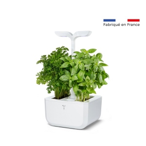 Potager Exky® CLASSIC