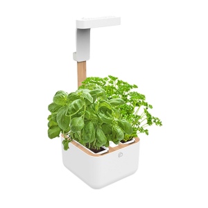 Botaneo Indoor Garden - VERITABLE