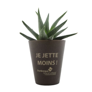 Plante Gob'lin