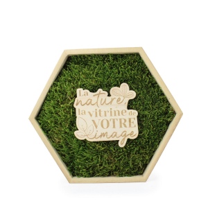 Cadre mousse hexagonal