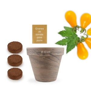 Pot Terre cuite Basalte 13cm  - Tomate poire jaune Bio*