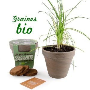 Pot Terre cuite Basalte 13cm - Ciboulette Bio*