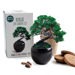 Bonsaï zen garden set