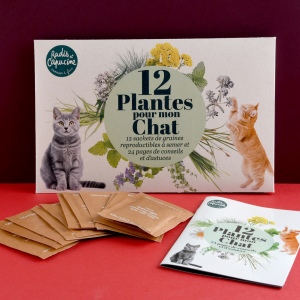 Enveloppe 12 sachets - Jardiner pour mon chat