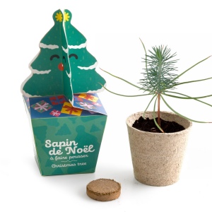Kit sapin à décorer