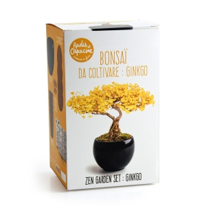 Bonsaï garden set Ginkgo
