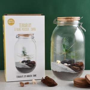 Terrarium DIY Sapin de Noël