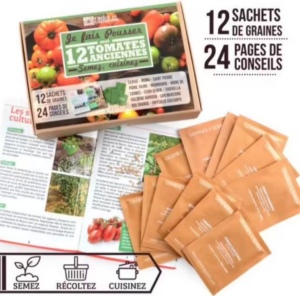Enveloppe 12 sachets Tomates Anciennes