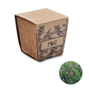MINT KIT - Kit de graines de menthe
