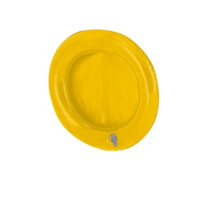 Disque Volant Coussin - Zalox