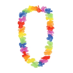 Collier Hawaïen - Punder