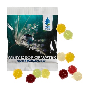 Gommes de fruits STANDARD, VEGAN, 20 g, sachet conventionnel