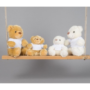 Ourson avec tee-shirt