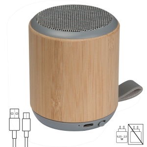 Haut-parleur Bluetooth
