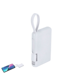 Power Bank - Brandin