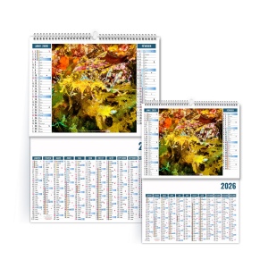 2EN1 - MIMETISME 2026 - SMALL 330 x 470 mm - MARQUAGE 1 COULEUR