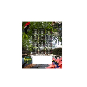 ESTAMPE - MARIUS 2026 - LONG 215 X 600 mm - QUADRI