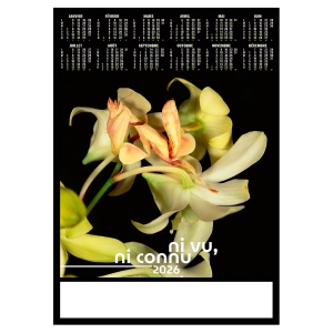 POSTER - DISSIMULE 2026 - QUADRI