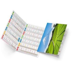 ROBERTO 2026 - NEUTRE 1 POSE