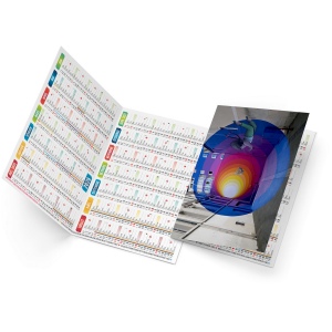 JEAN 2026 - NEUTRE 4 POSES