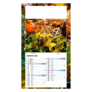 PLAQUE 1 VUE JULIETTA 2026 - DOS CARTON - EURO BLOC - MARQUAGE QUADRI