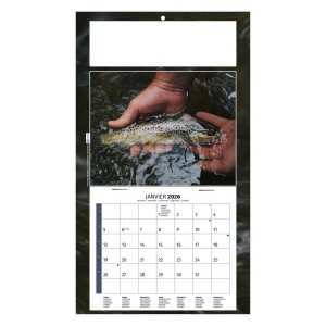 PLAQUE 1 VUE MAX 2026 - DOS MAGNETIQUE - EURO BLOC - MARQUAGE QUADRI