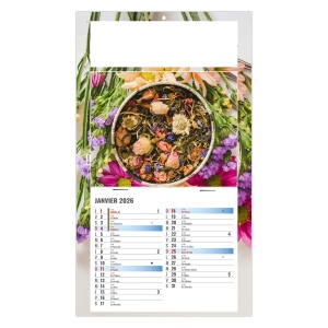 PLAQUE 1 VUE PHYTO 2026 - DOS MAGNETIQUE - EURO BLOC - MARQUAGE QUADRI