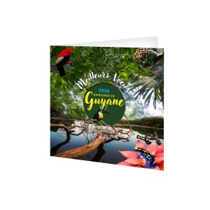 CARTE DE VOEUX - L'EMERAUDE 2026  AVEC ENVELOPPE - QUADRI