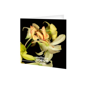 CARTE DE VOEUX - INVISIBLE 2026  AVEC ENVELOPPE - QUADRI