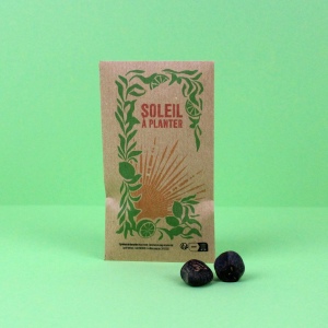 Sachet kraft graines exotiques et IDG08E-Paulownia