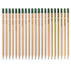 Crayon Sprout en bois durable avec mine graphite. Plantable après utilisation